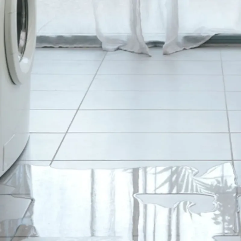 Appliance Leak Cleanup in Rock Island, IL