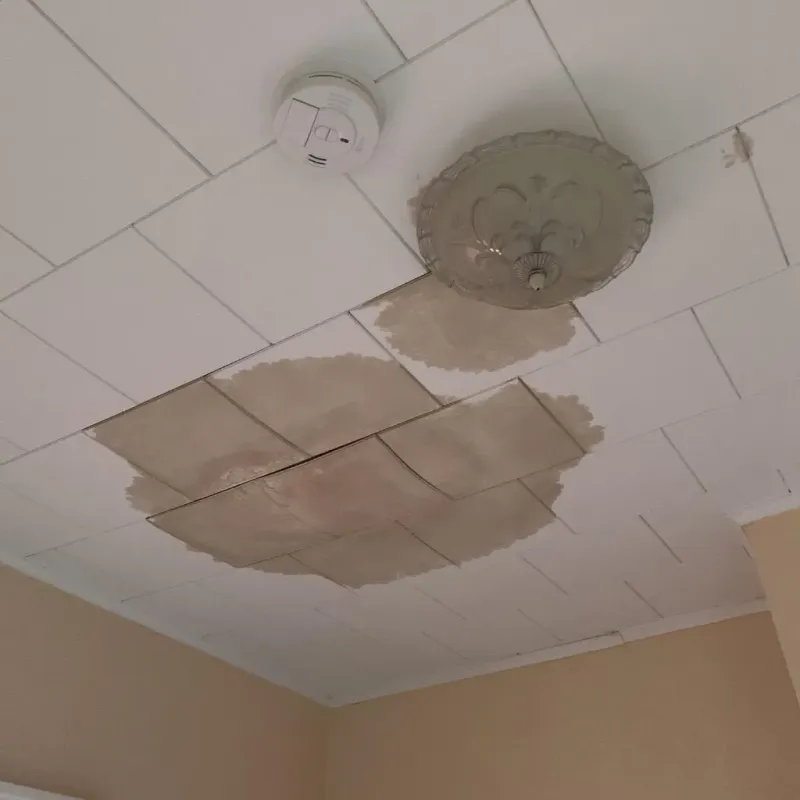 Ceiling Water Damage Repair in Rock Island, IL