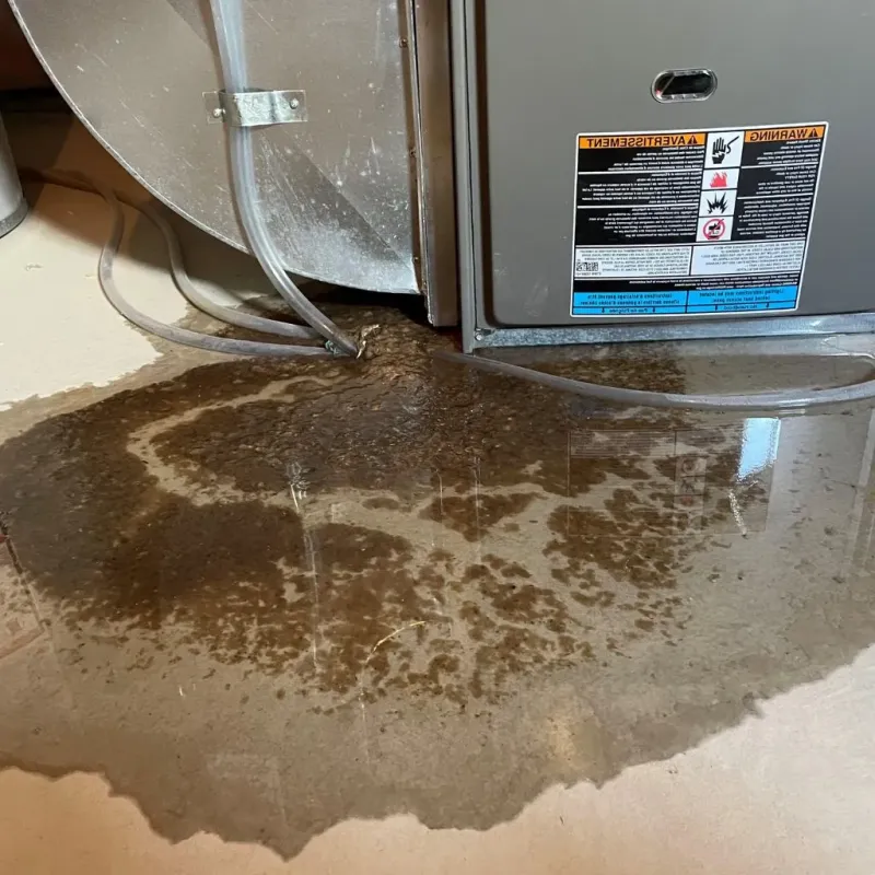 Pipe Burst and Leak Restoration in Rock Island, IL