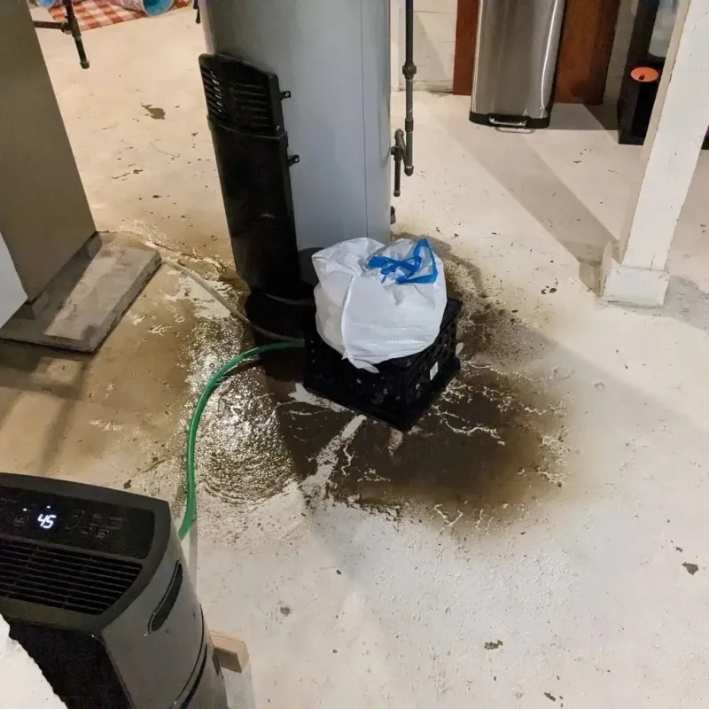 Sewage Backup Cleanup Service in Rock Island, IL